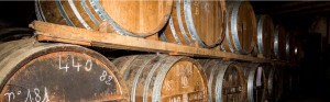 Producteurs Cognac