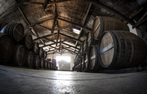 barrique de cognac
